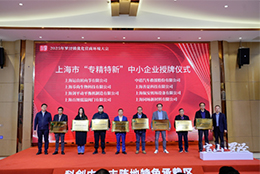 上海劍平參加 2025 羅涇鎮(zhèn)營(yíng)商大會(huì)，共筑區(qū)域發(fā)展新生態(tài)