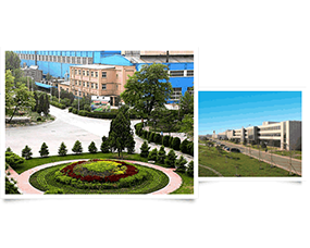 標(biāo)準(zhǔn)校驗(yàn)轉(zhuǎn)子供應(yīng)